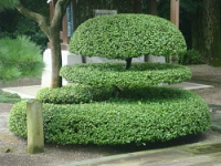 JAPAN-ISRAEL TRADITIONAL GARDEN